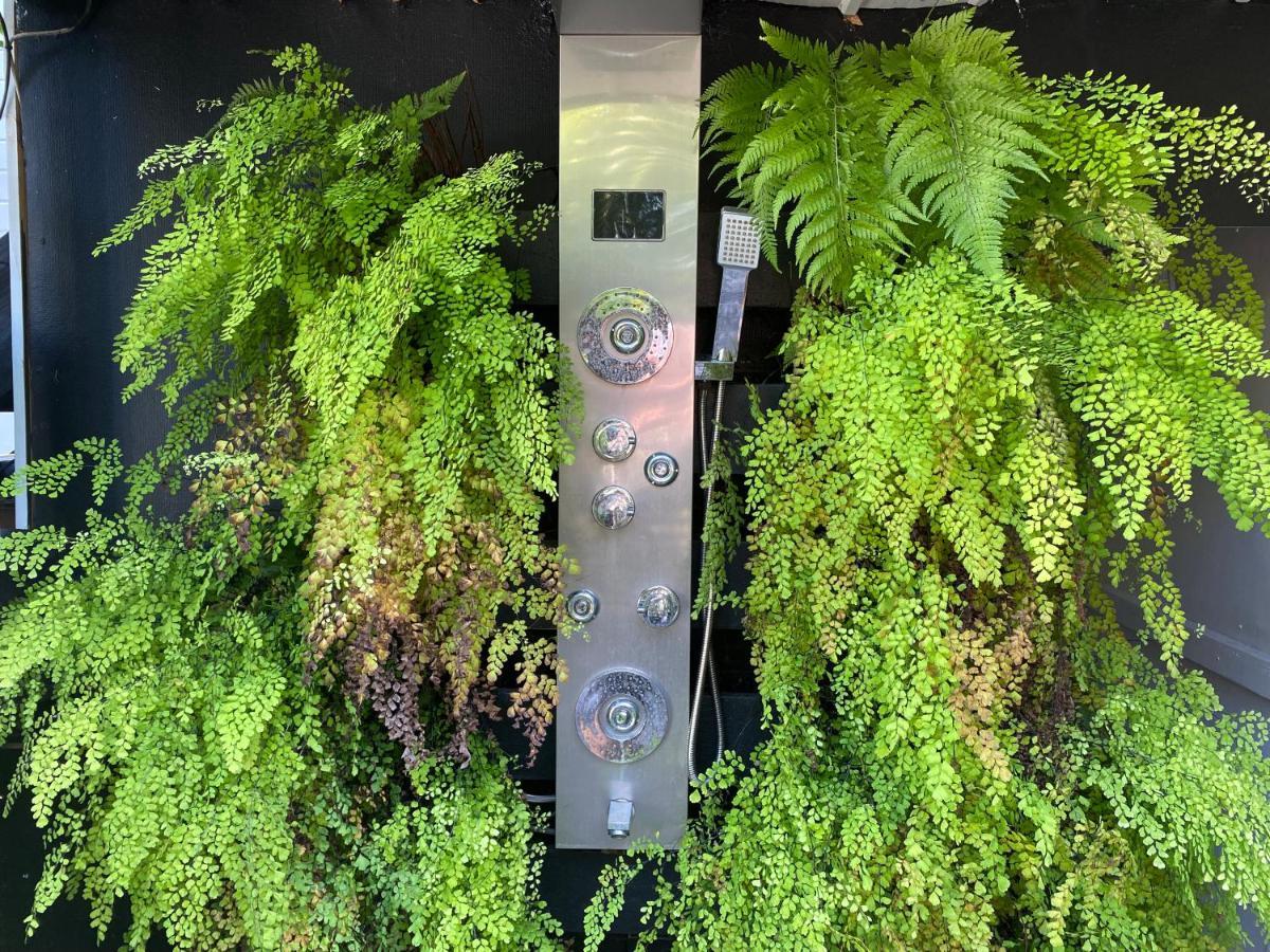הרווי ביי Freshwater Bnb מראה חיצוני תמונה